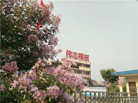 專業(yè) 專注，河南偉志模板在2018年期待您的光臨