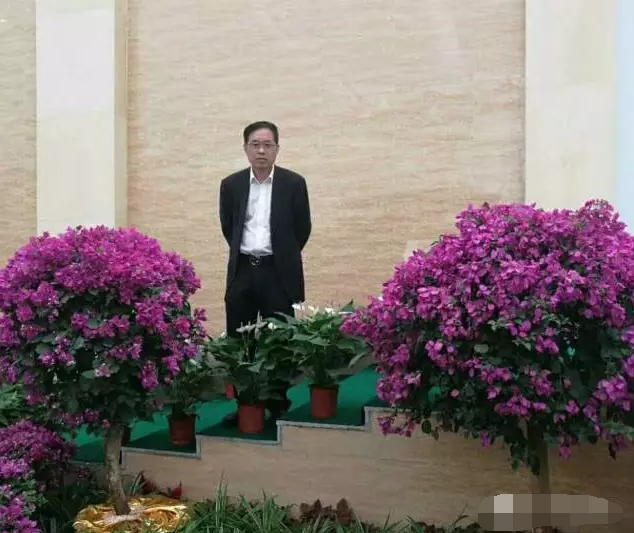 偉志模板董事長來保軍——我為偉志代言，幸福源于心中的愛