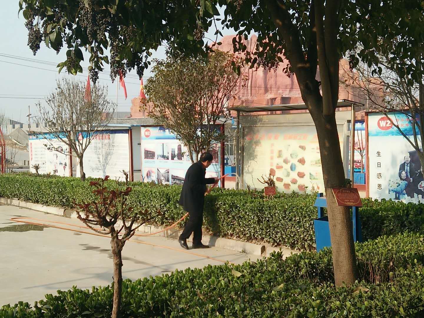 身先力行，偉志模板來董說：植樹就要護理好