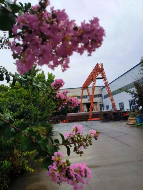 紫薇花開時，偉志迎貴客