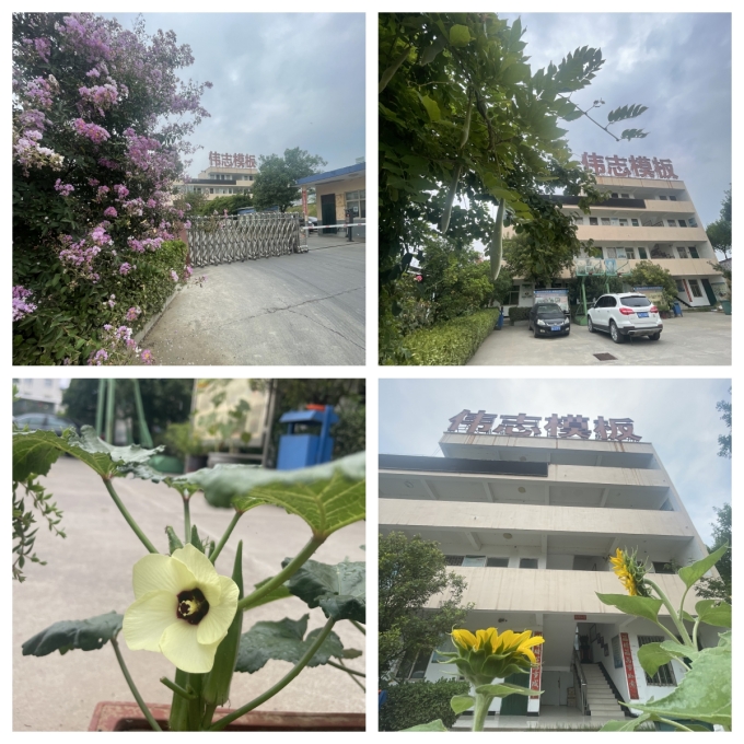 夏至來臨，期待美好