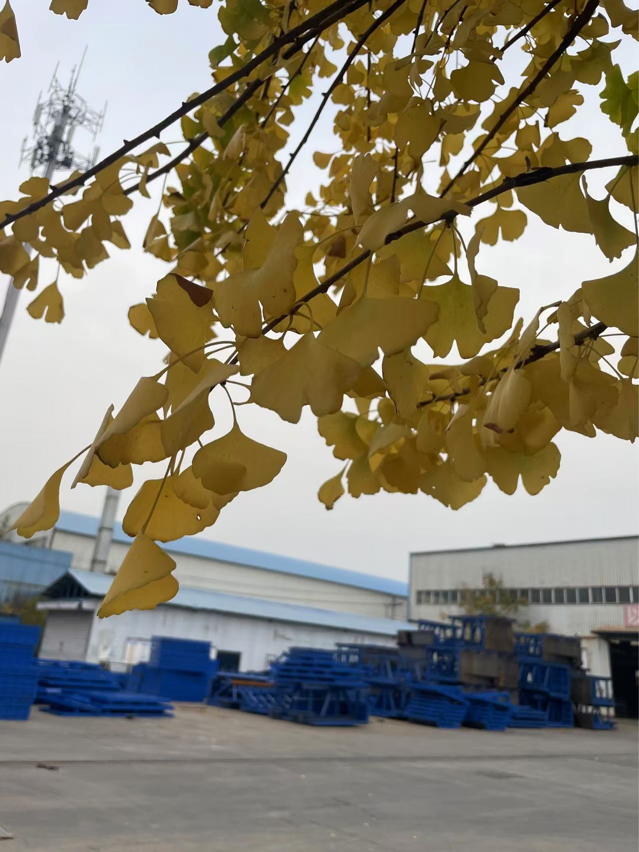 偉志模板提醒您記得保暖！